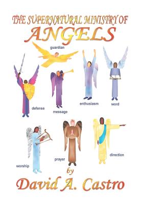 The Supernatural Ministry of Angels - Castro, David A