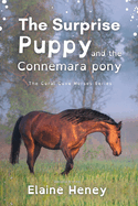 The Surprise Puppy and the Connemara Pony - Dyslexia Friendly