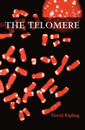 The Telomere