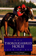 The Thoroughbred Horse