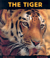 The Tiger: Ferocious Feline