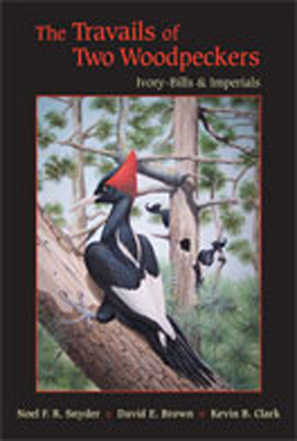 The Travails of Two Woodpeckers: Ivory-Bills & Imperials - Snyder, Noel F R, and Brown, David E, and Clark, Kevin B