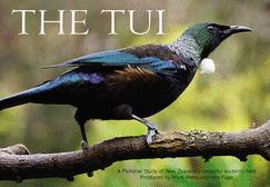 The Tui: A Pictorial Study of New Zealand's Colourful Endemic Bird