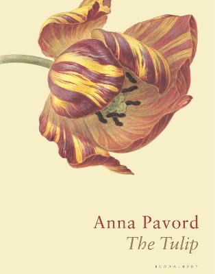 The Tulip: The Story of a Flower That Has Made Men Mad - Pavord, Anna