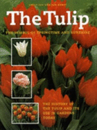 The Tulip - Horst, Jan van der
