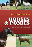 The Ultimate Guide to Horses & Ponies