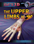 The Upper Limbs in 3D