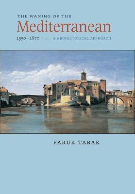 The Waning of the Mediterranean, 1550-1870: A Geohistorical Approach - Tabak, Faruk, Professor