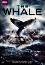 The Whale - 