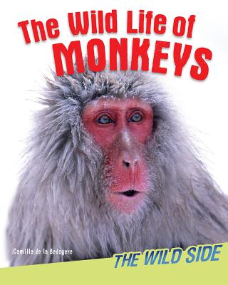 The Wild Life of Monkeys - de la Bdoyre, Camilla