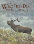 The Wild Red Deer of Killarney: A Personal Experience and Photographic Record of the Yearly and Life Cycles of the Native Irish Red Deer of County Kerry - Ryan, Sean