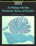 The Workings of the Brain: Development, Memory, and Perception: Readings from Scientific American Magazine