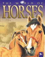 The World of Horses