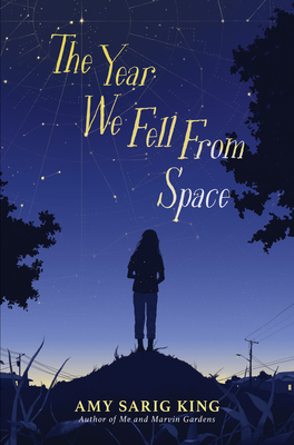 The Year We Fell from Space - King, Amy Sarig