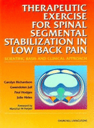 Therapeutic Exercises for Spinal Segmental Stabilization in Low Back Pain: Scientific Basis and Clinical Approach