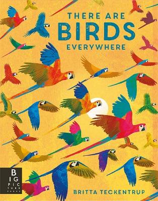 There are Birds Everywhere - Bedoyere, Camilla De La