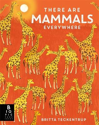 There are Mammals Everywhere - Bedoyere, Camilla De La
