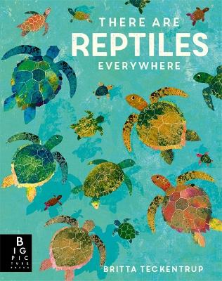 There are Reptiles Everywhere - Bedoyere, Camilla De La