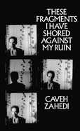 These Fragments I Have Shored Against My Ruin