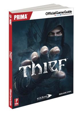 Thief with Access Code - Stratton, Stephen