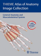 Thieme Atlas of Anatomy Image Collection--General Anatomy and Musculoskeletal System (Thieme Atlas of Anatomy Series) - Michael Schuenke M.D. Ph.D., Erik Schulte M.D., Udo Schumacher, Lawrence Ross, Edward Lamperti