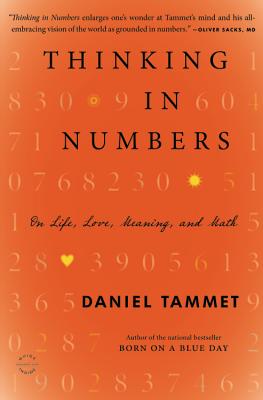Thinking in Numbers: On Life, Love, Meaning, and Math - Tammet, Daniel