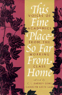 This Fine Place So Far from Home: Voices of Academics from the Working Class