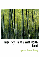 Three Boys in the Wild North Land