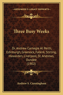 Three Busy Weeks: Dr. Andrew Carnegie at Perth, Edinburgh, Greenock, Falkirk, Stirling, Hawarden, Liverpool, St. Andrews, Dundee (1902)