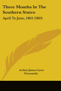 Three Months In The Southern States: April To June, 1863 (1863)