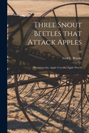 Three Snout Beetles That Attack Apples: Plum Curculio, Apple Curculio, Apple Weevil; 126