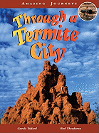 Through a Termite City
