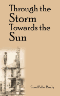 Through the Storm Towards the Sun