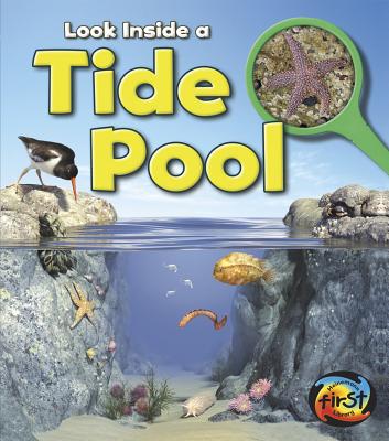 Tide Pool: Look Inside - Spilsbury, Louise