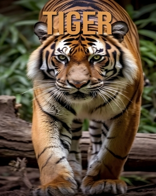 Tiger: Learn About Tiger and Enjoy Amazing Facts & Pictures - Fairwood, Tristan