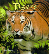 Tigers: A Look into the Glittering Eye