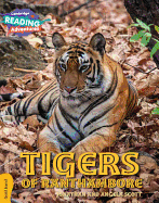 Tigers of Ranthambore Gold Band