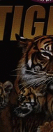 Tigers - Robins, Deri, and Morgan, Sally