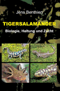 Tigersalamander