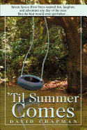 'Til Summer Comes: Seven Spoon River Boys Wanted Fun, Laughter, and Adventure Any Day of the Year. But the Best Would Even Get Better.