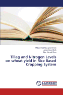 Tillag and Nitrogen Levels on Wheat Yield in Rice Based Cropping System