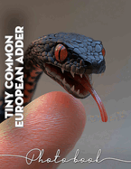 Tiny Common European Adder Photo Book: 40 Stunning Images Of A Unique Slithering Creature From Around Europe