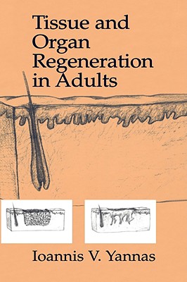 Tissue and Organ Regeneration in Adults - Yannas, Ioannis V