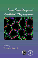 Tissue Remodeling and Epithelial Morphogenesis: Volume 89