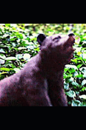 To Poke The Bear: The Maestro Chronicles Book Eleven