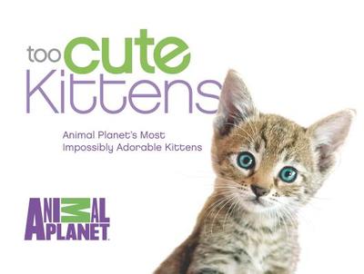 Too Cute Kittens: Animal Planet's Most Impossibly Adorable Kittens - Animal Planet