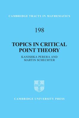 Topics in Critical Point Theory - Perera, Kanishka, and Schechter, Martin