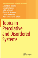 Topics in Percolative and Disordered Systems