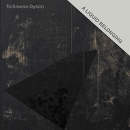 Torkwase Dyson: A Liquid Belonging