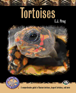 Tortoises: A Comprehensive Guide to Russian Tortoises, Leopard Tortoises, and More